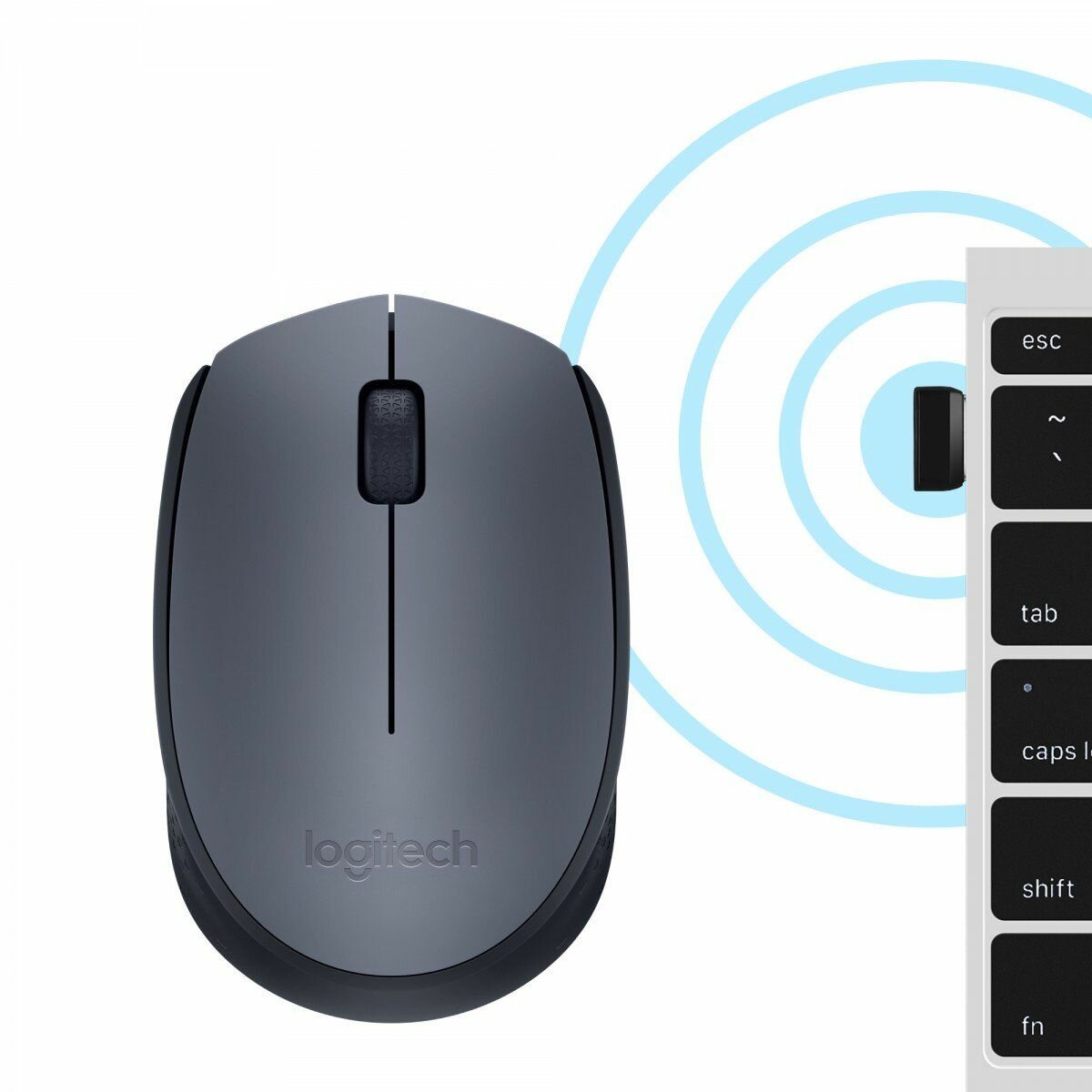 Souris Sans Fil Logitech M170