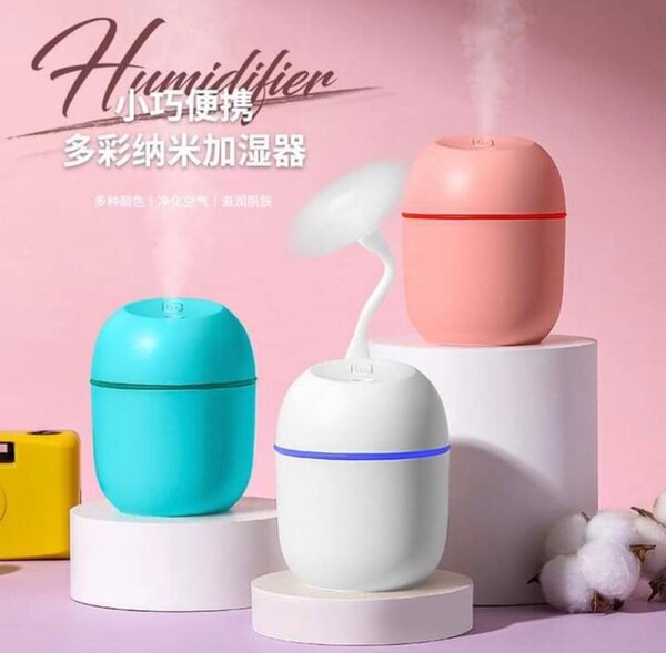 Mini Humidificateur Portable