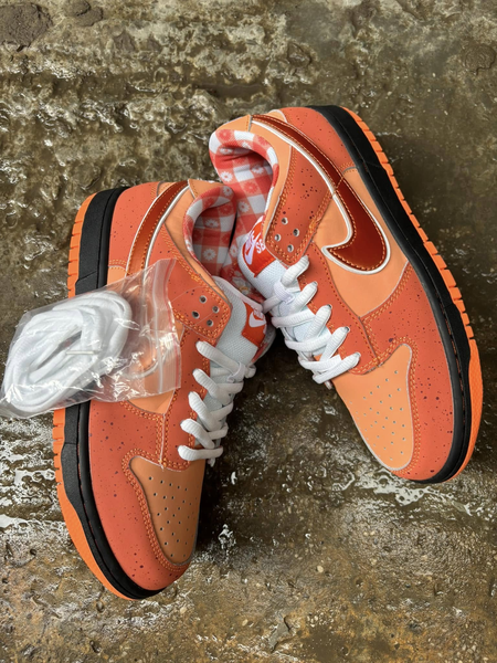 SB dunks  