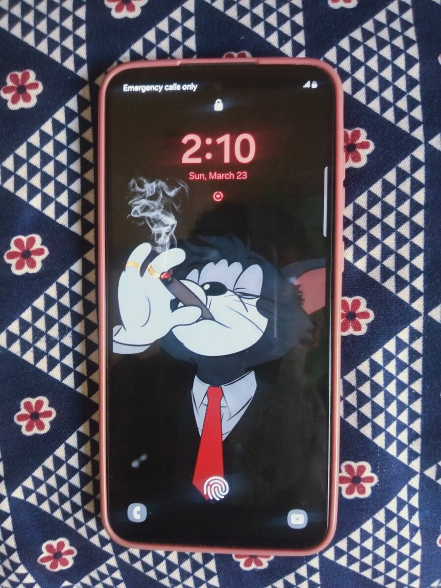 Samsung Galaxy a55 5g 12 GB ram 256gb memrey ha non PTA ha