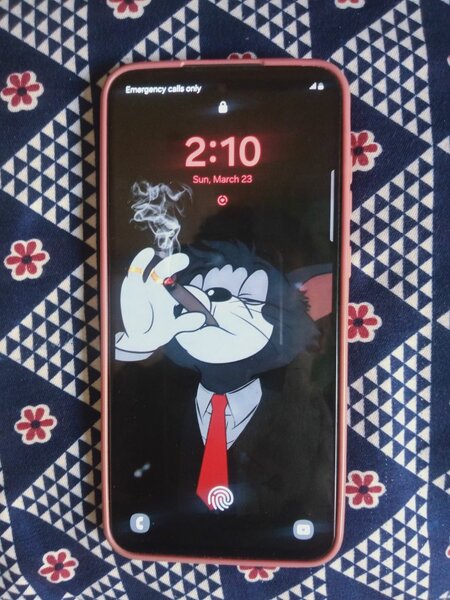 Samsung Galaxy a55 5g 12 GB ram 256gb memrey ha non PTA ha