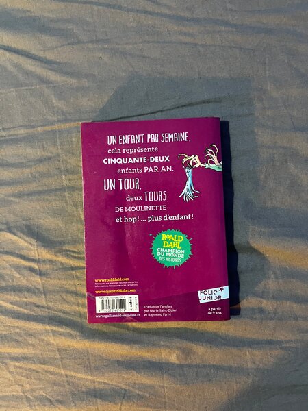 Sacrées Sorcières - Roald Dahl