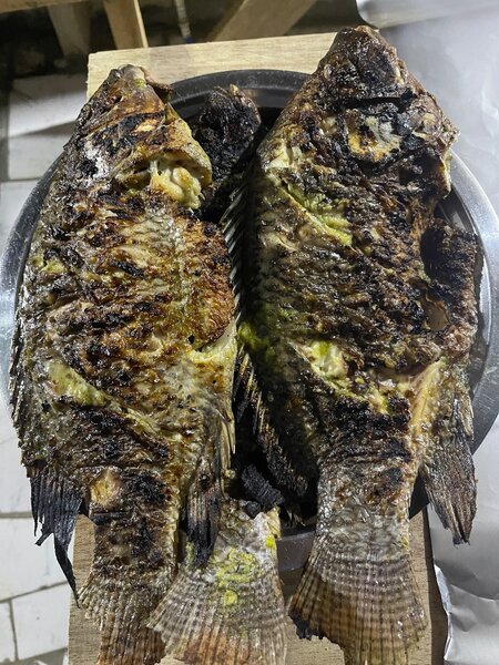 Poisson grillé savoureux