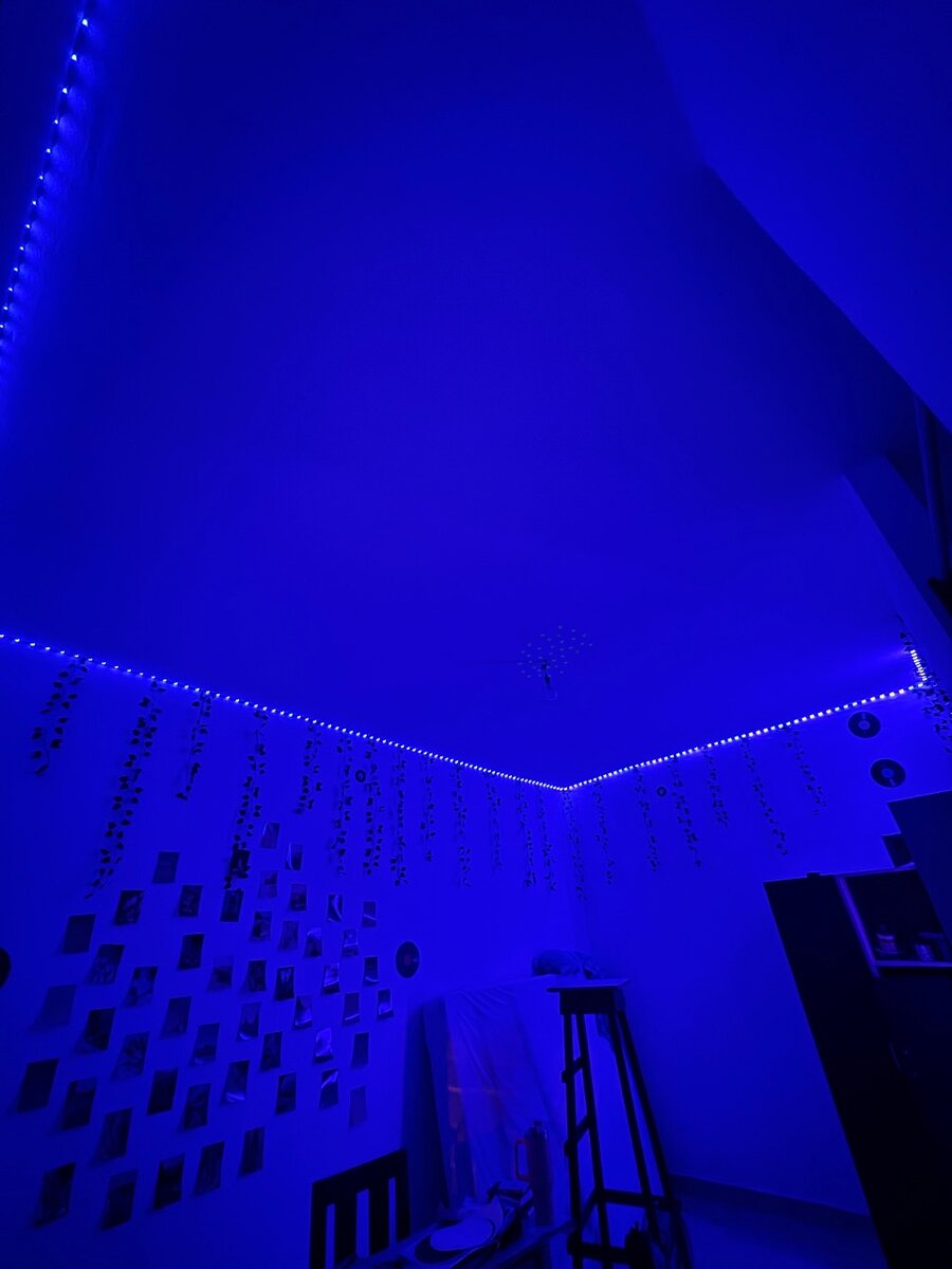 Guirlandes LED Décoratives