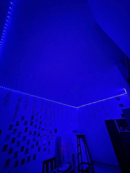 Guirlandes LED Décoratives