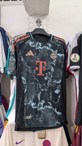 Bayer munich 2024-2025
