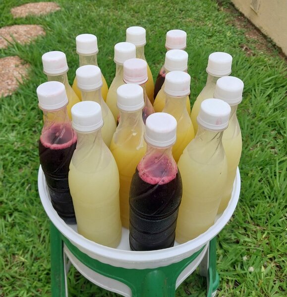 Jus local (bissap, tamarin, citron...)