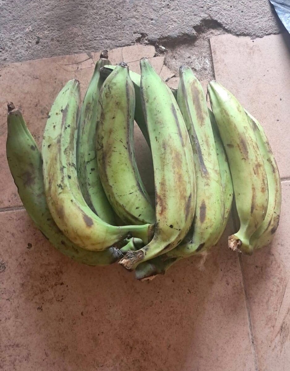 Bananes Plantains Fraîches