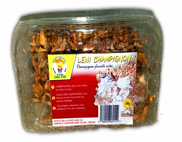 Champignons séchés Lewi 40g