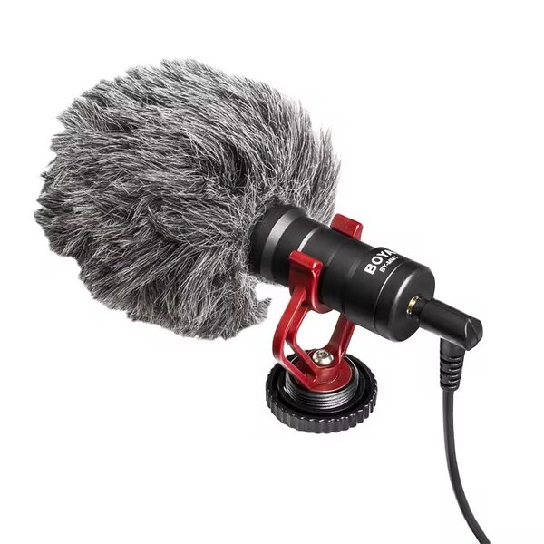 Microphone d'enregistrement