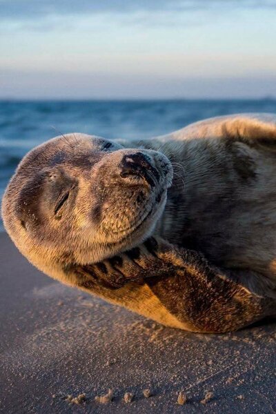 Boutique N.B.A.... f