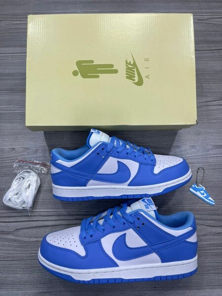 Nike sb