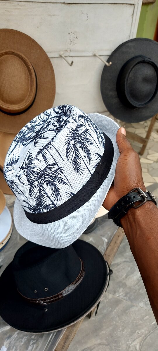 Chapeaux Fedora élégants