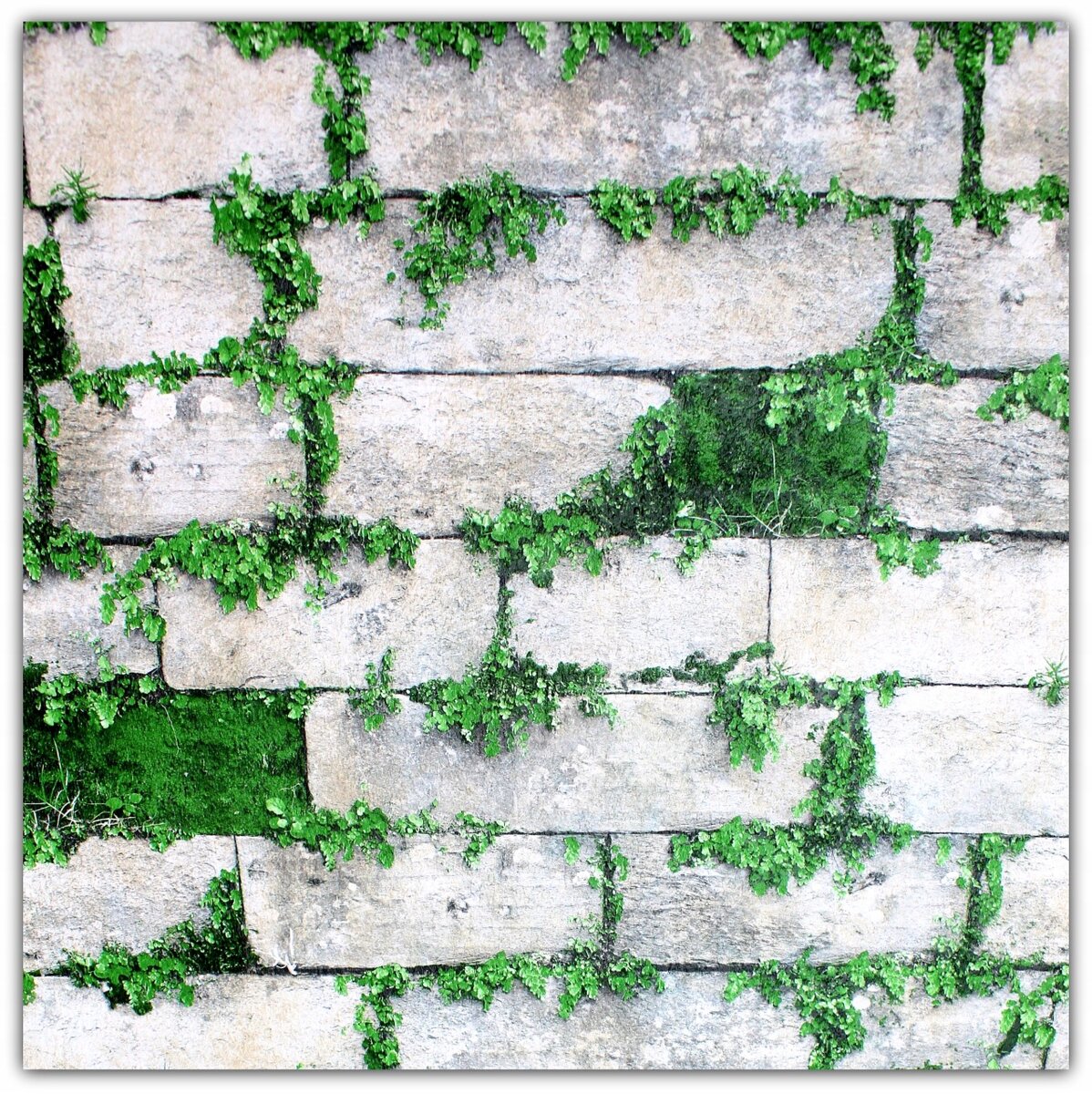 Papier peint style ruelle