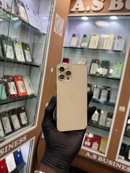 iPhone 12 Pro Max