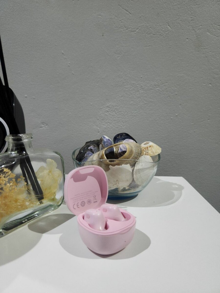 Baseus wireless earphones