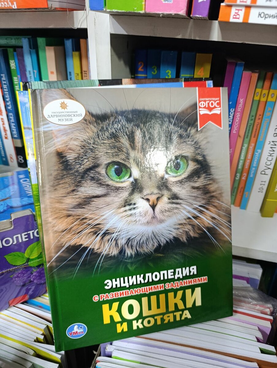 Энциклопедия для детей