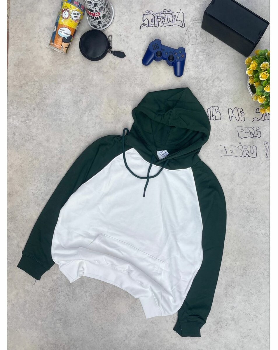 Sweat à capuche bicolore