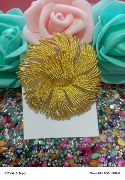 Broche vêtements et foulards