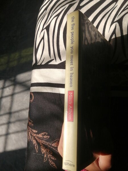 The Five People You Meet in Heaven by Mitch Albom