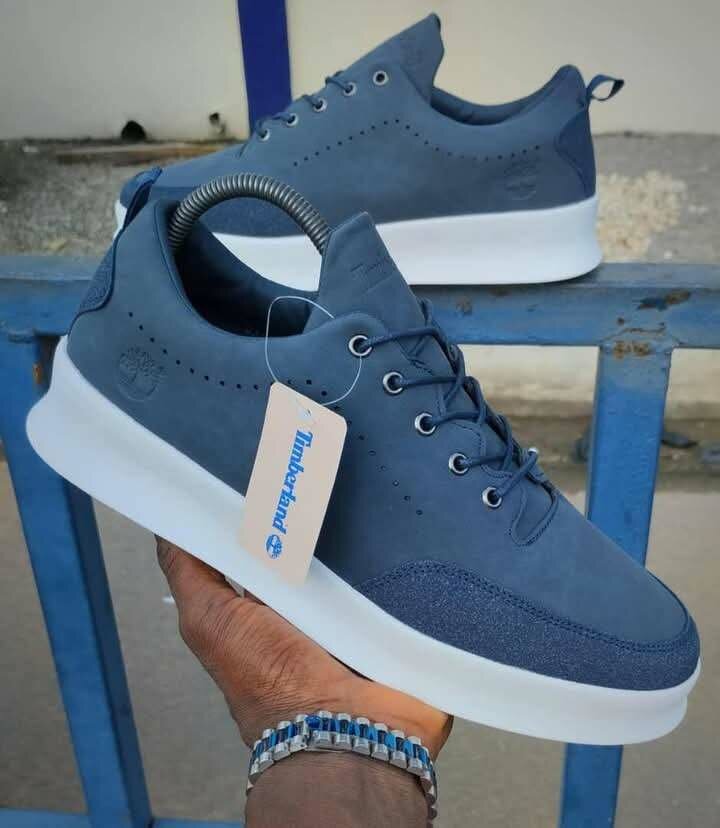 Sneakers Timberland Homme