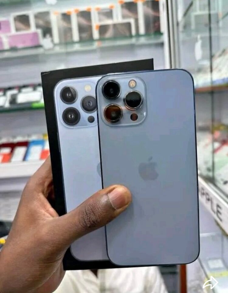 iPhone 13 Pro Max 256Go