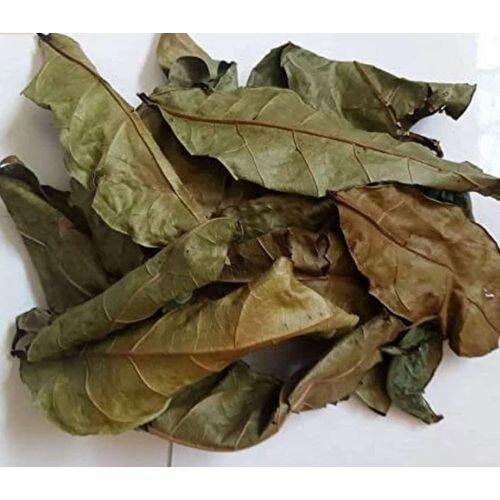 Santé et bien être 