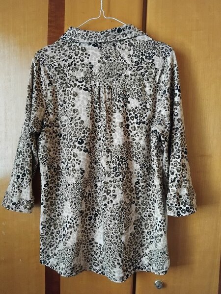 Shades of brown ladies shirt