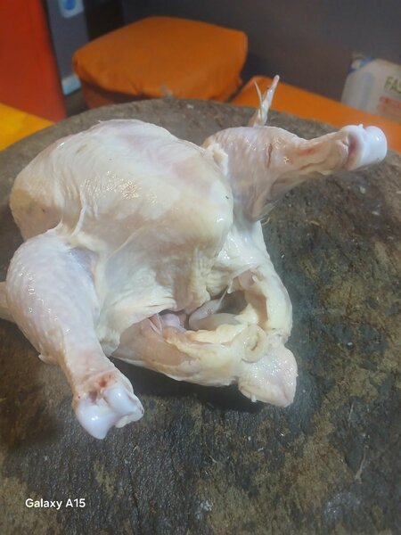 Poulet de chaires