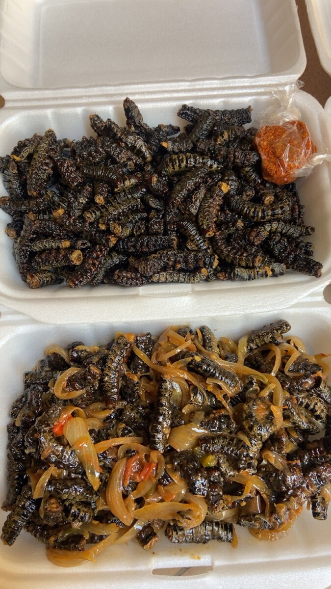 Chenilles sauté et grillé