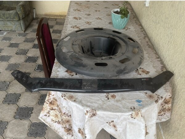 Ветровики мухобойка