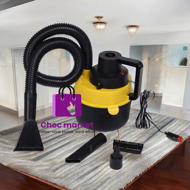 Aspirateur Double usage  Pro