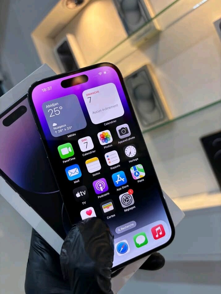 iPhone 14 Pro Max 256 Go