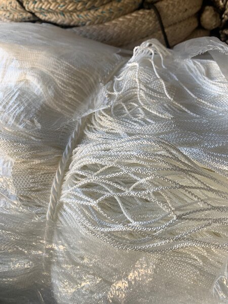 Filet 2 dois blanc élevage