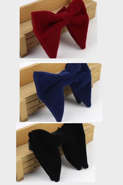 Nœuds papillon en velours