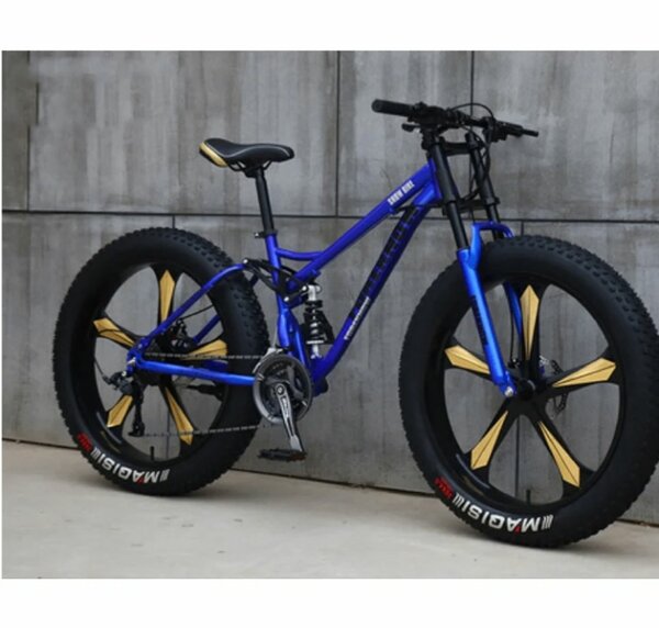 Vélo Fat Bike Tout Terrain
