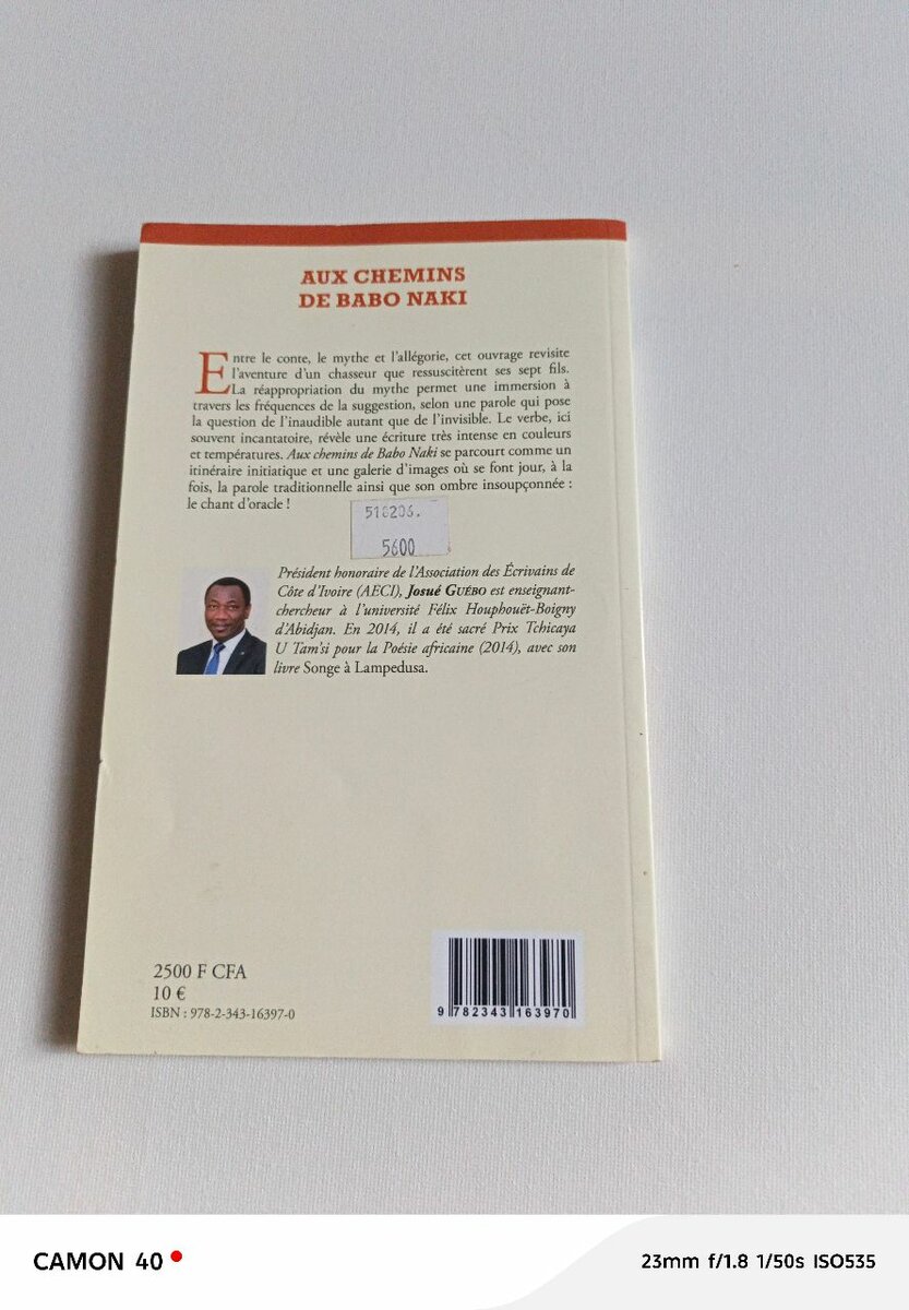 Livre Aux Chemins de Babo Naki