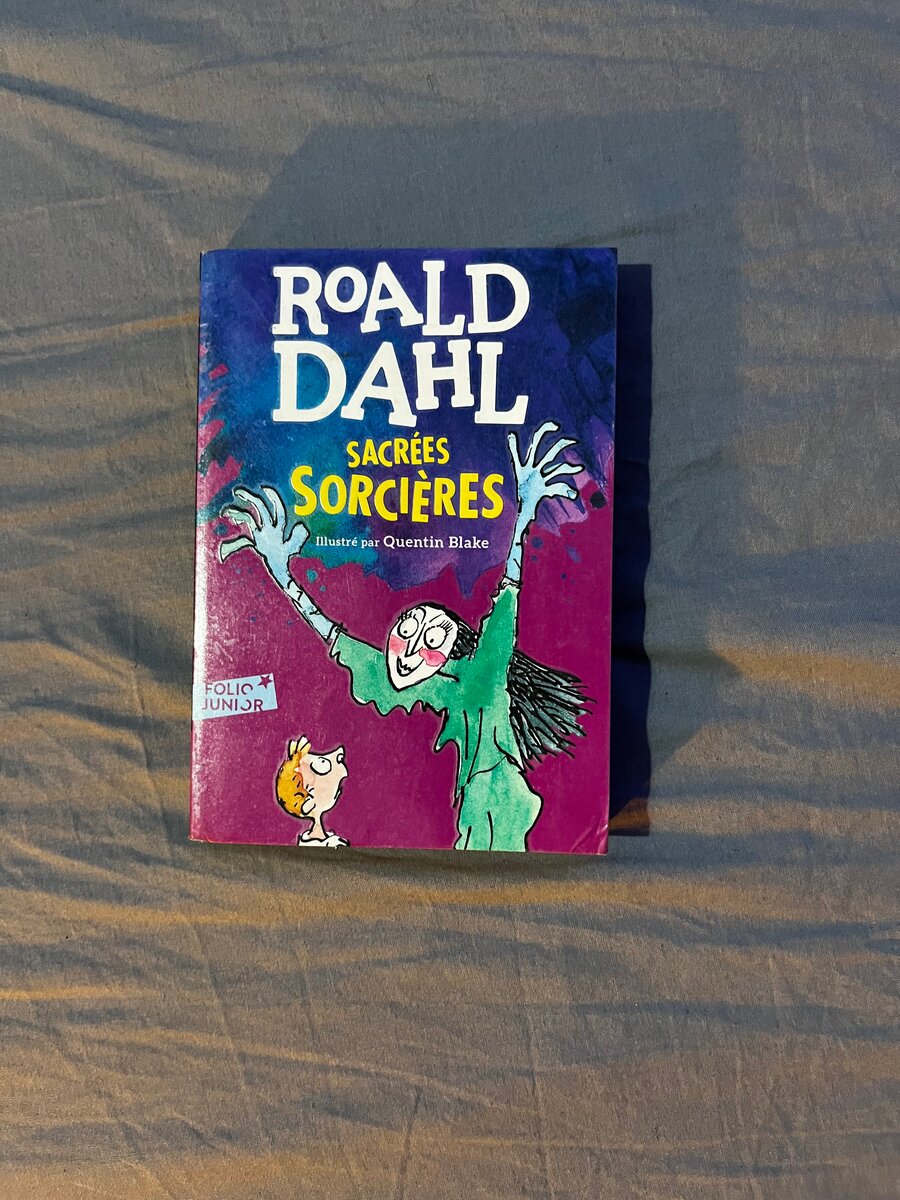 Sacrées Sorcières - Roald Dahl