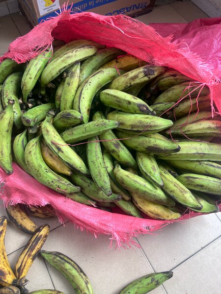 Bananes Plantains Vertes