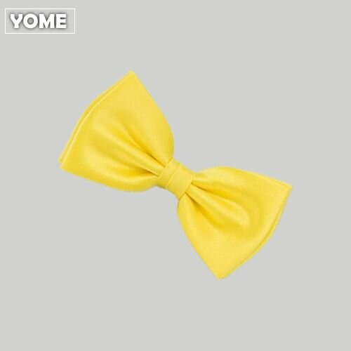 Nœud papillon jaune élégant