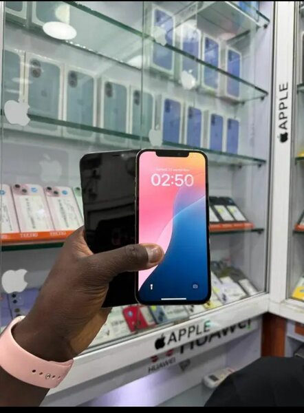 iPhone 12 Pro Max 256Go