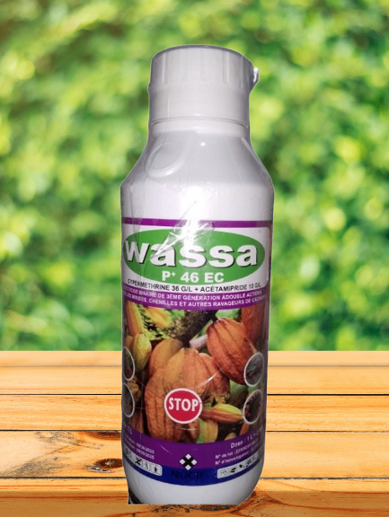 CACAO WASSA P+ 46 EC
