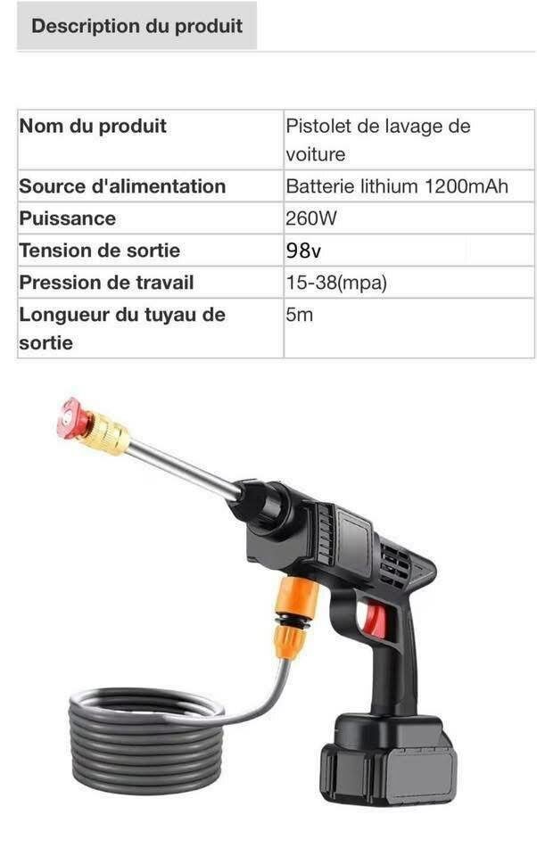 Pistolet a lavage électrique