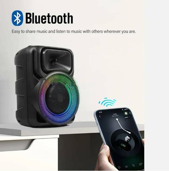 Haut-parleur bluetooth rechargeable avec microphone sans fil
