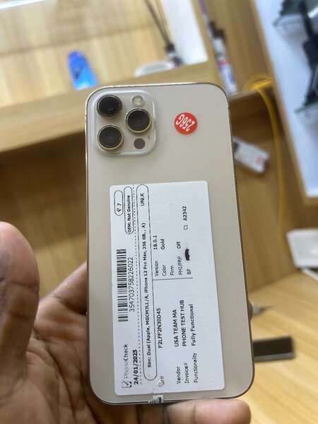 iPhone 13 Pro Max 256Gb