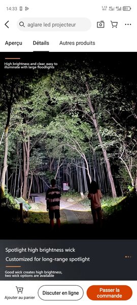 Torche LED haute puissance 300