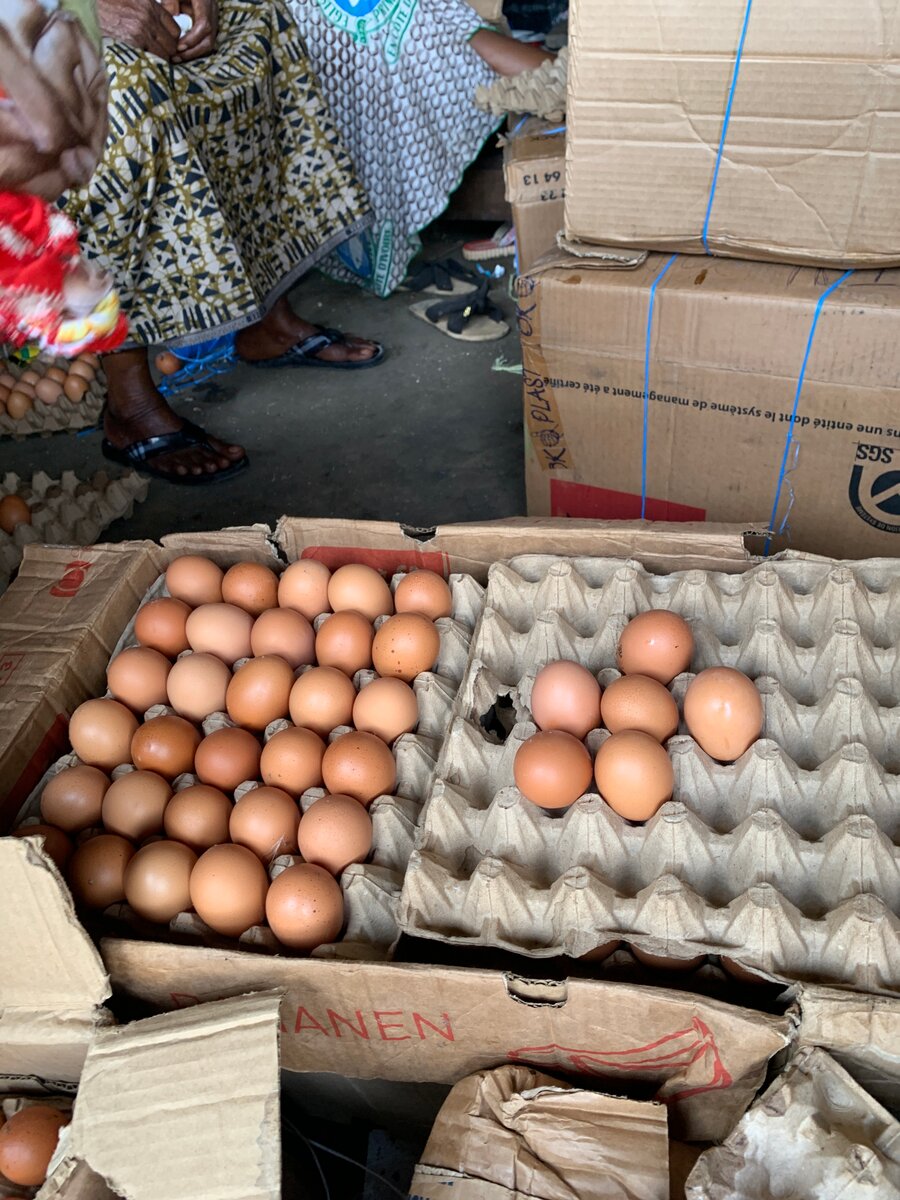 Œufs frais de ferme bio