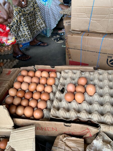 Œufs frais de ferme bio