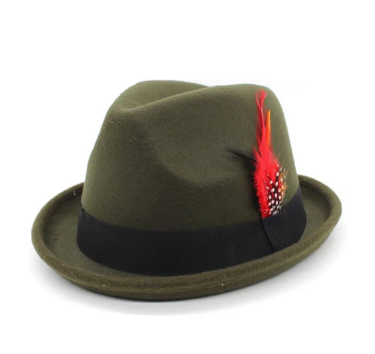 Chapeau Fedora avec plume
