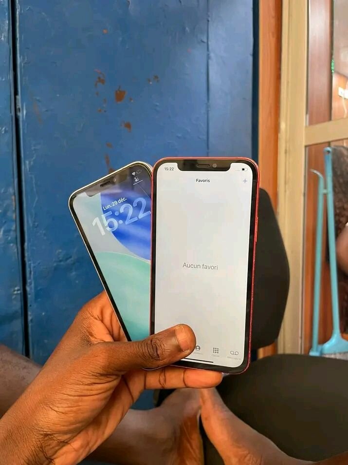 iPhone 12 couleur variée